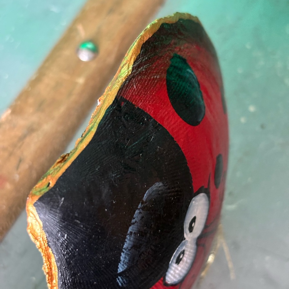 “Ladybug” seashell 🐞 - Picture 6 of 7